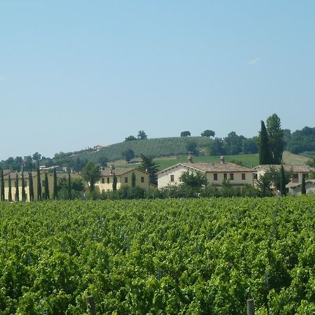 Agriturismo Villaggio Green Montefalco Ngoại thất bức ảnh