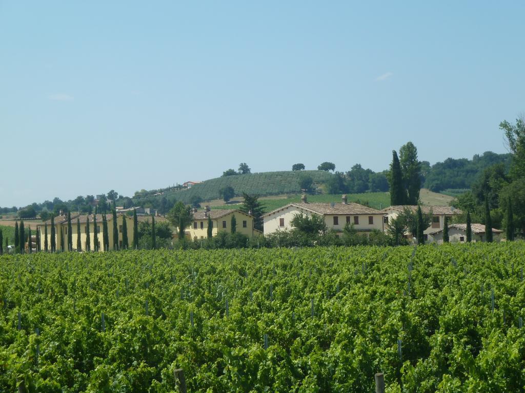 Agriturismo Villaggio Green Montefalco Ngoại thất bức ảnh